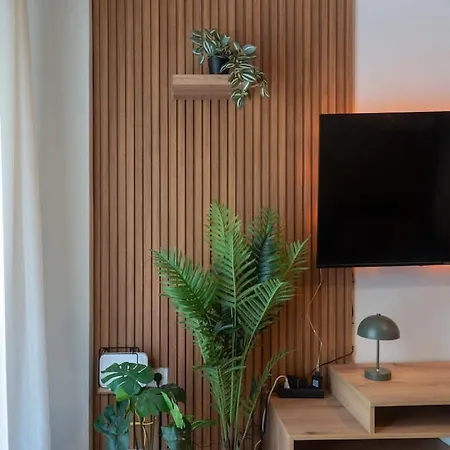 Spacious Modern In The Heart Of Center *